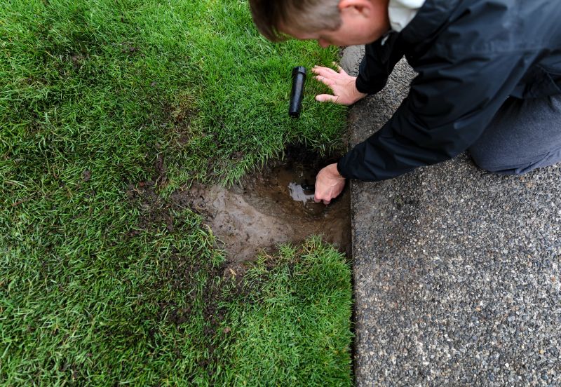 Irrigation System Inspection