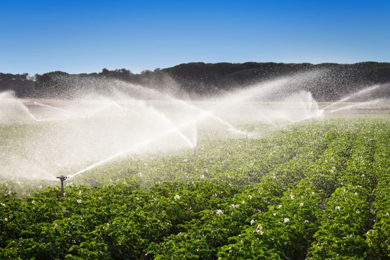Garden Irrigation Installation in Ventura County, CA