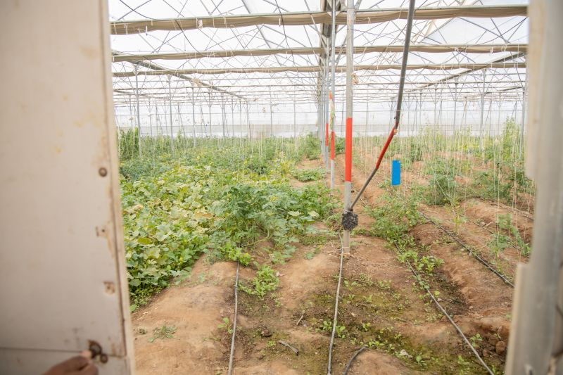 Garden Irrigation Installation in Ventura County, CA
