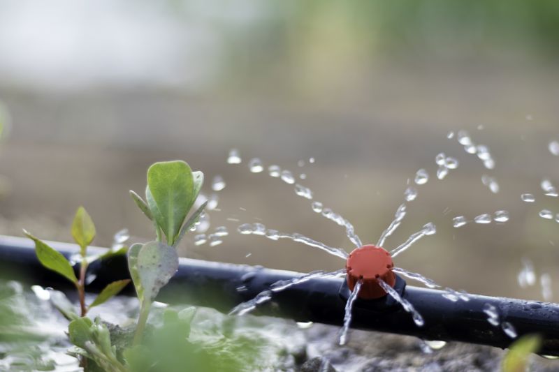Watering System Installation in Ventura County, CA