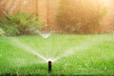 Yard Sprinkler Installation in Aiken, SC